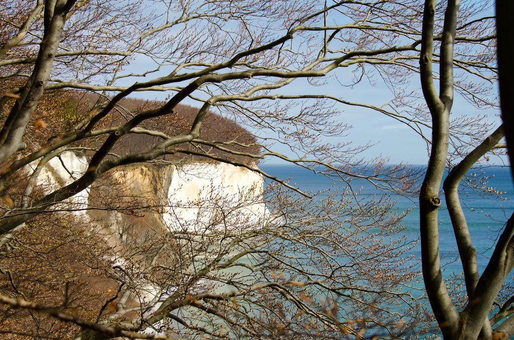 Mare Balticum Urlaub Auf Ruegen Apart otel Sagard Dış mekan fotoğraf